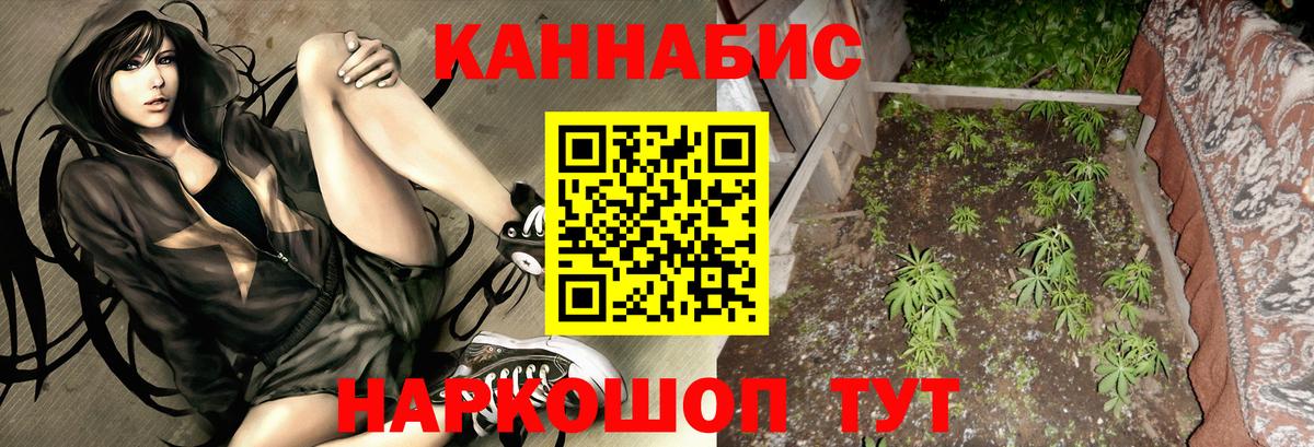 Бошки Шишки AK-47  Канабис индика  Бошки Шишки LSD WEED  Кимры  Вход с VPN  Шишки марихуана планчик 